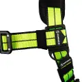 PRO+ Full Body Harness: 1D, QC Chest, TB Legs - FS-FLEX185