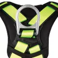 PRO Full Body Harness: 1D, MB Chest, TB Legs - FS185